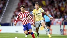 马术馆+民宿，白城将新增打卡地！（白城再添打卡新地标：马术馆牵手民宿！）