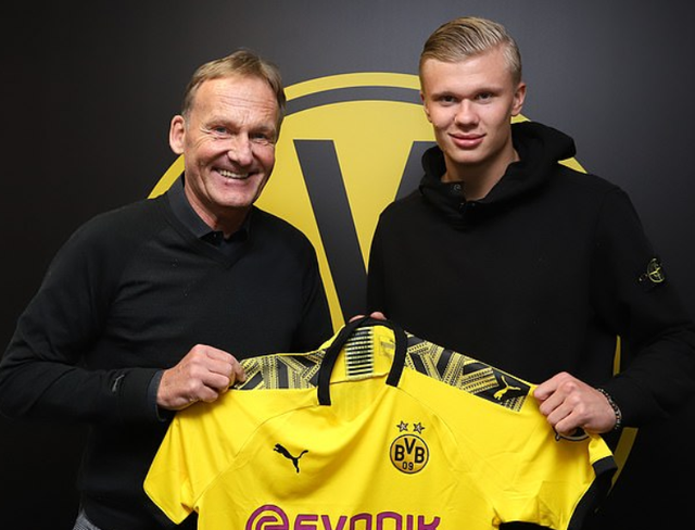 法比奥：我不知道领导有什么计划，但我知道他的计划是完美的（法比奥：我不知领导的具体计划，但我坚信他的安排无懈可击）